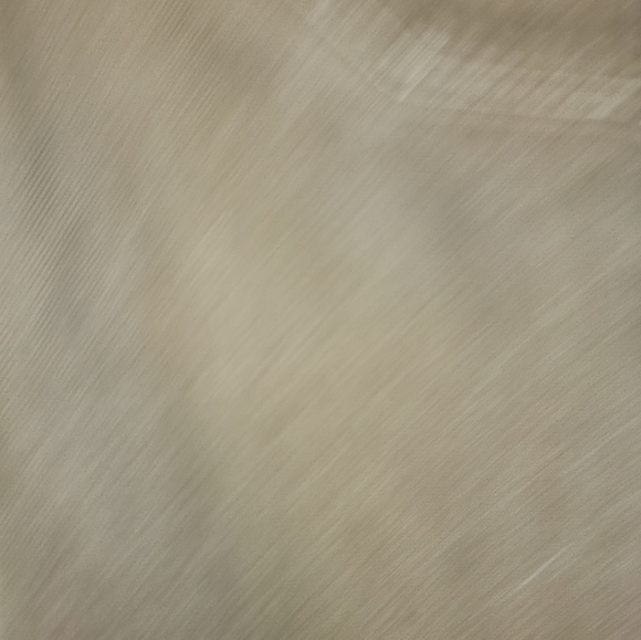 Duluth Trading Men's Brown Cargo Workwear pants Short 38x28 - Picture 3 of 14